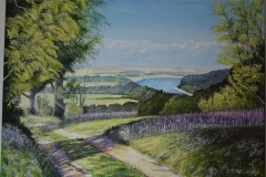 2020-Panorama_010